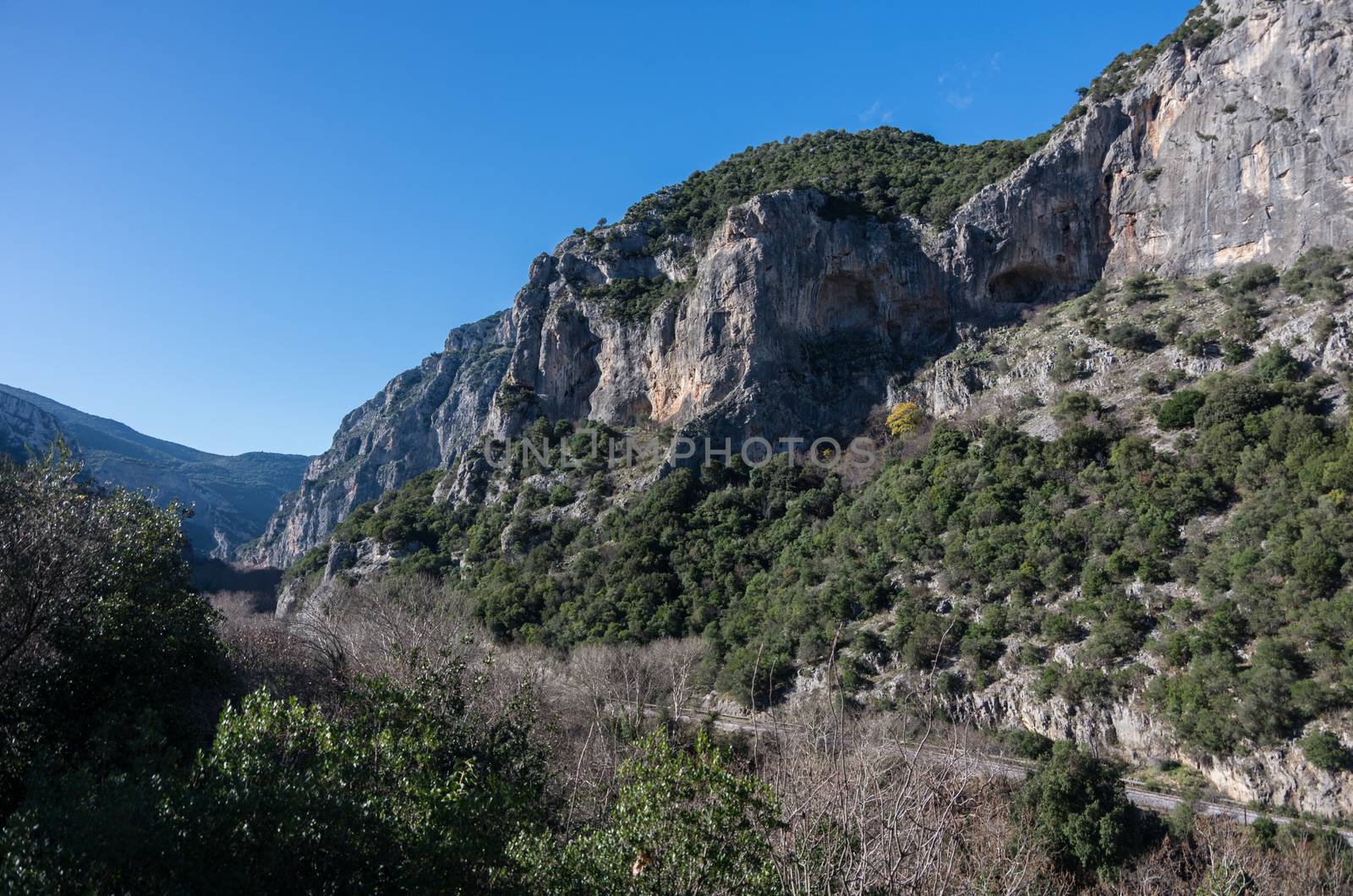Canyon of the river Pinios with cliffs on its banks at sunny winter day In the valley of Tempi in Larissa, Greece