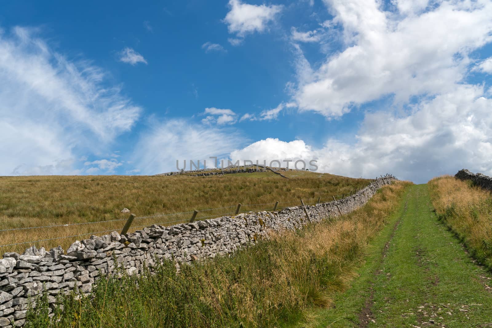 View along a grass track near Ingleton in Yorkshire by phil_bird