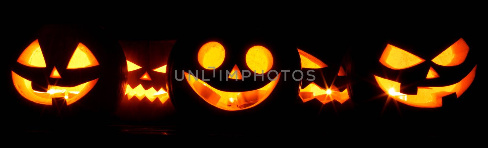 Halloween Pumpkins on black by Yellowj