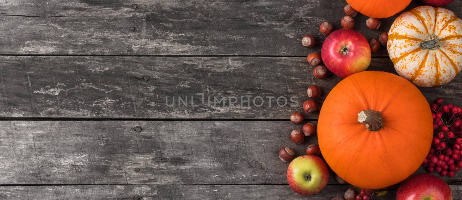 Autumn harvest still life with pumpkins, apples, hazelnuts and rowanberry on wooden background, top view