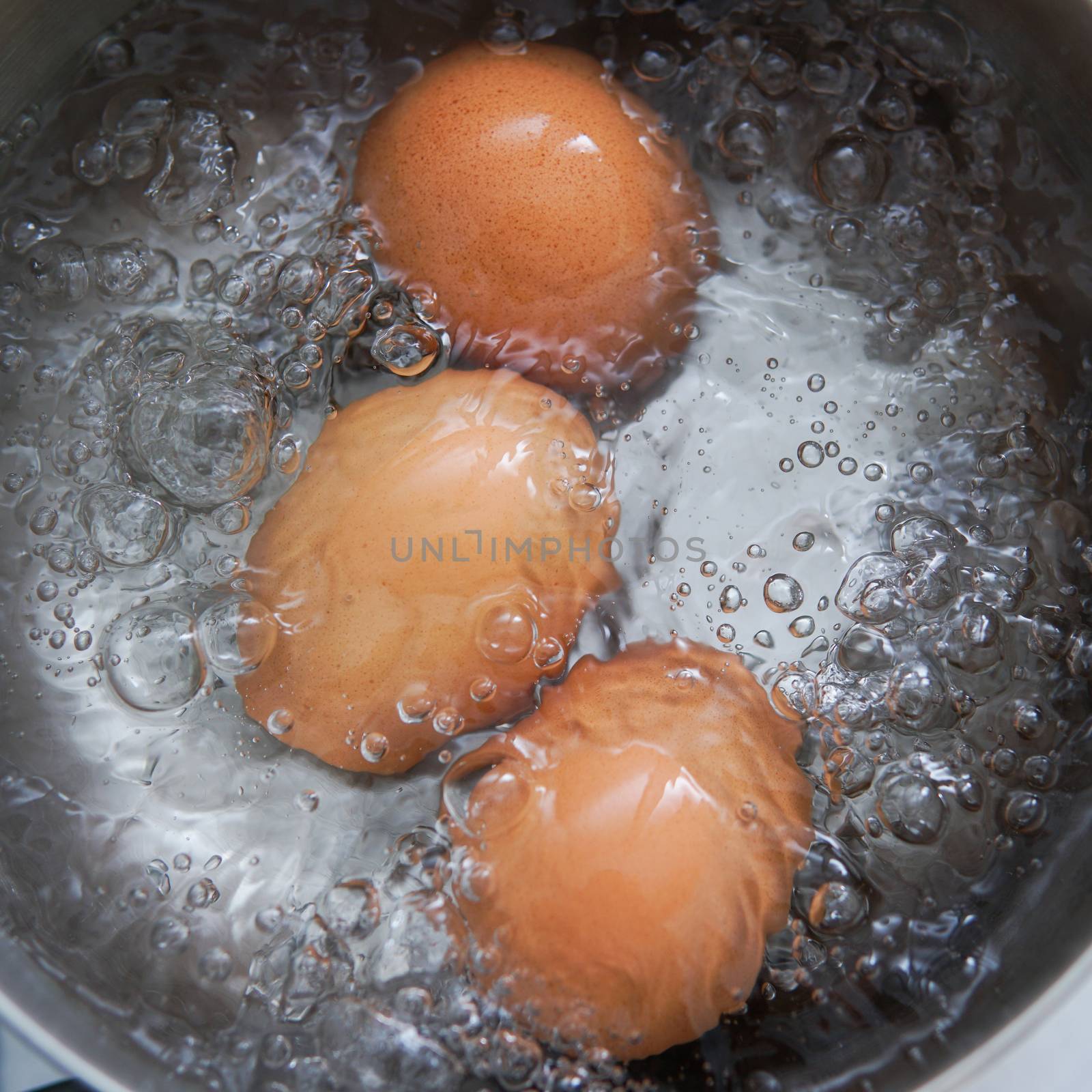 eggs in boiling water by antpkr