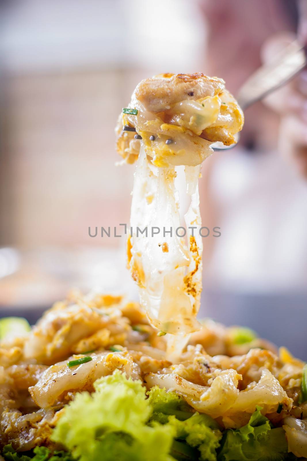 fried noodles with chicken by antpkr