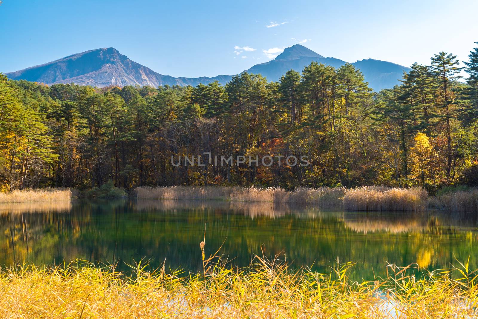 Goshiki-numa Five Colour Pond in Autumn, Urabandai, Fukushima, Japan