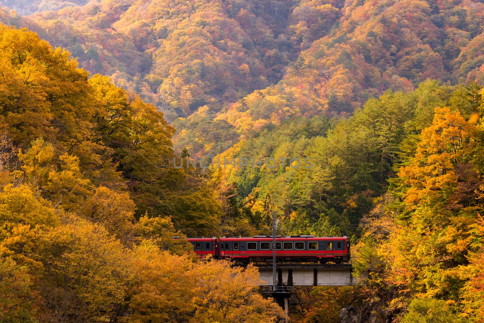 red train commuter Fukushima Japan by vichie81