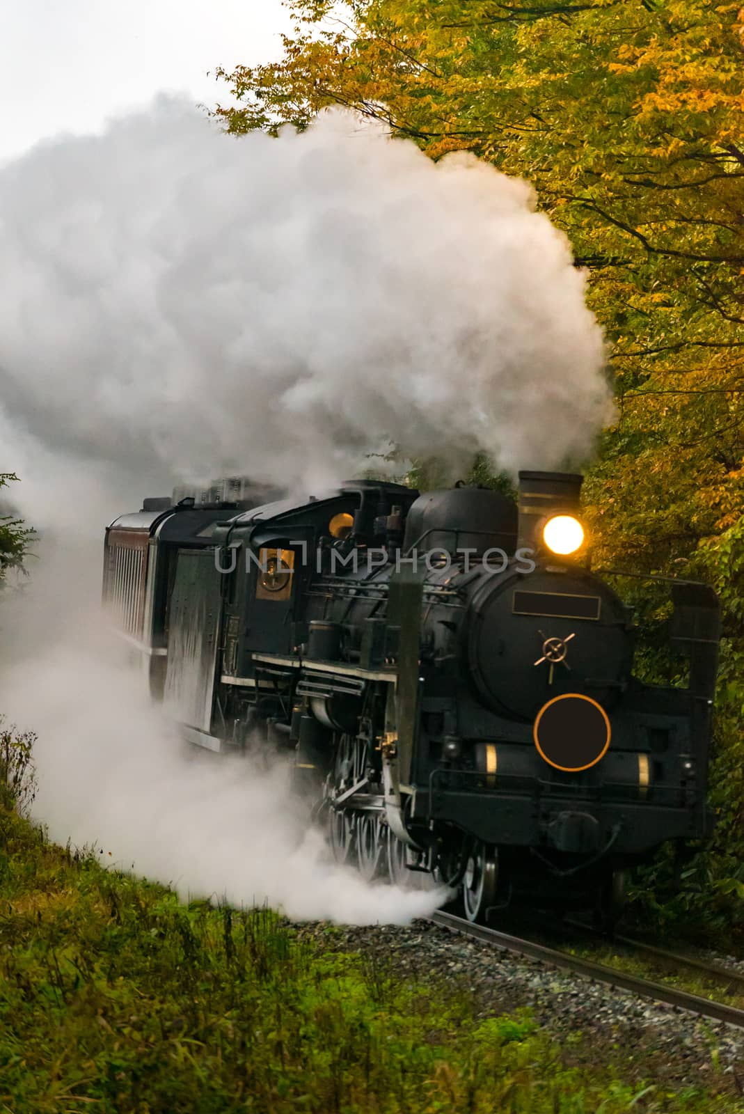 steam locomotive in autumn forest at Fukushima Japan