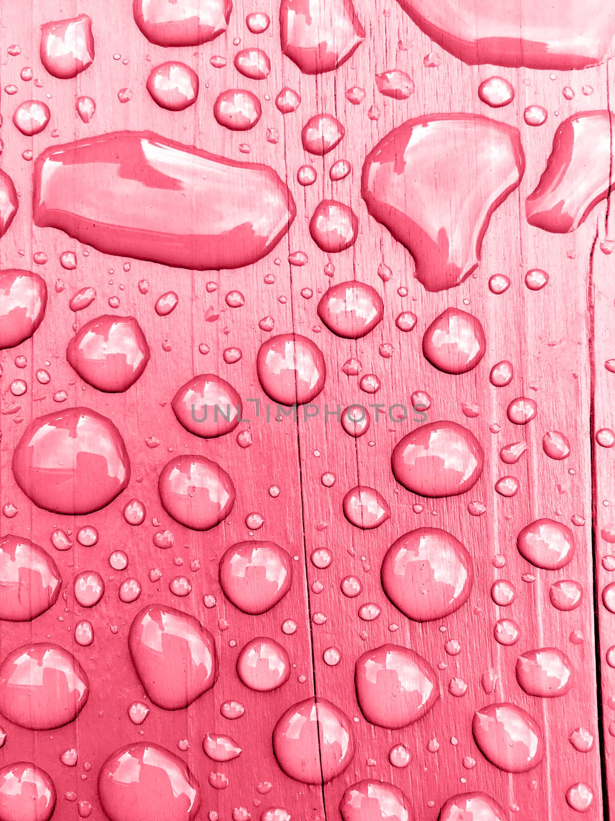 rain drops on on pink wooden bench