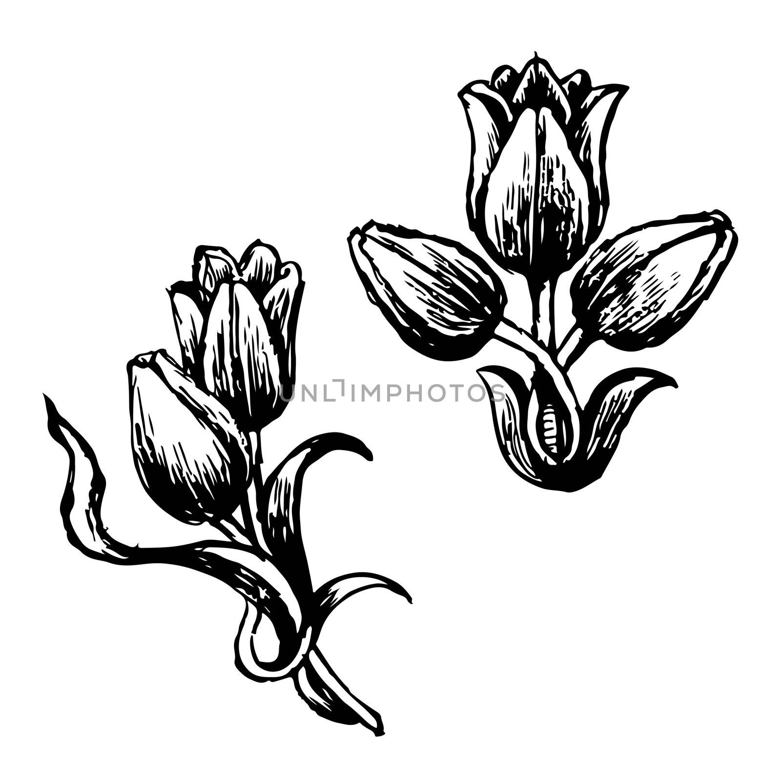 Design of Tulip and leaves by simpleBE