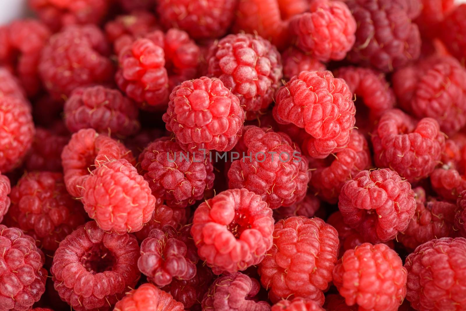 Just picked ripe raspberries background by Seva_blsv
