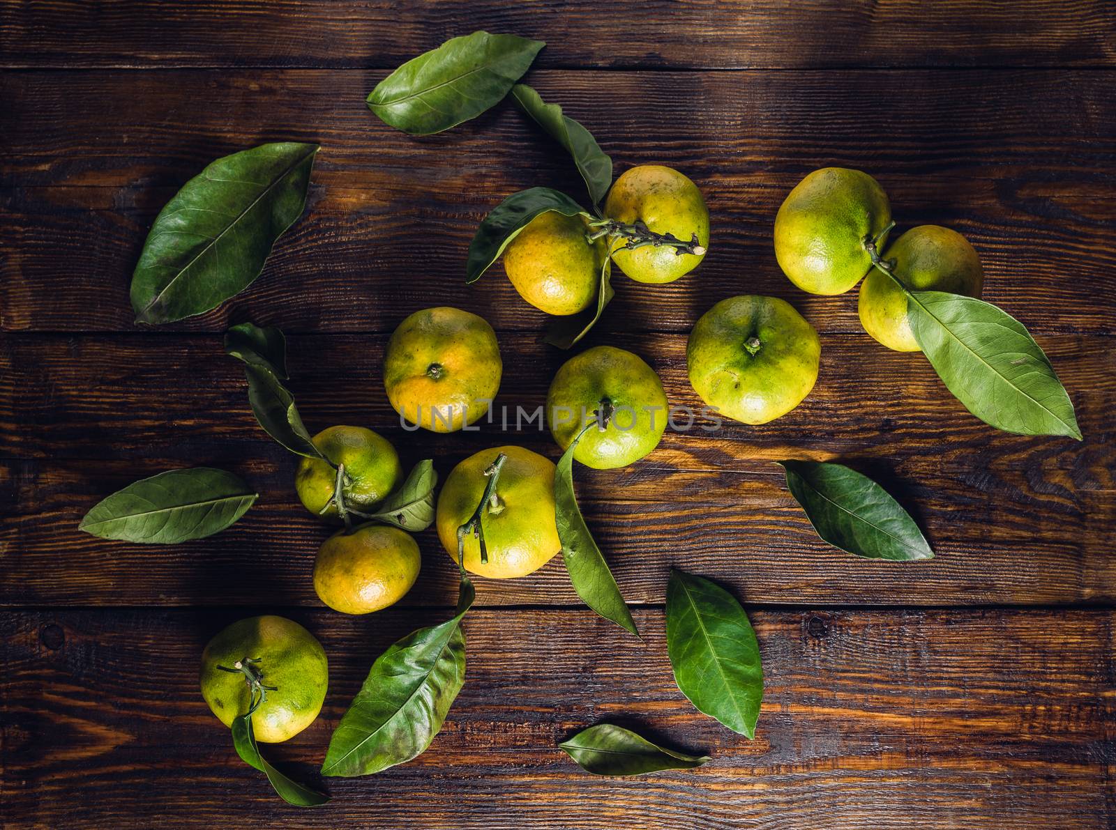 Tangerines with Leaves by Seva_blsv