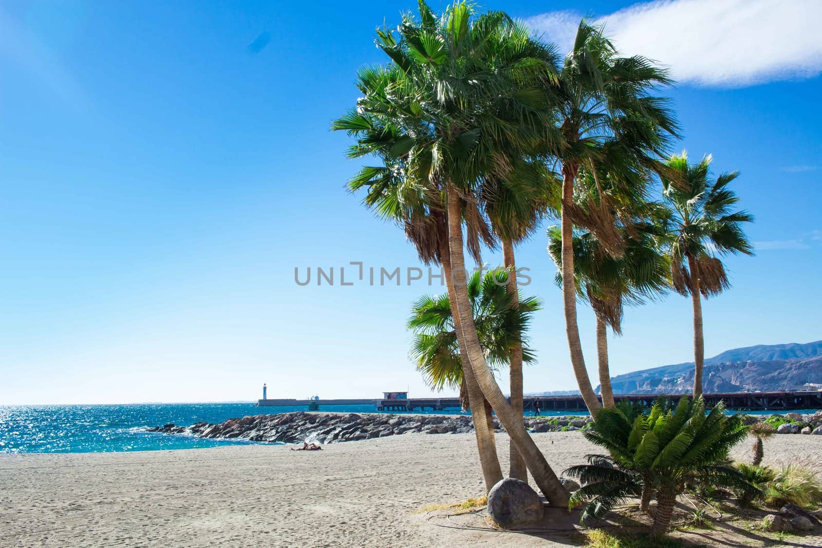 Palm trees on sandy beach seafront of mediterranean city by VeraVerano
