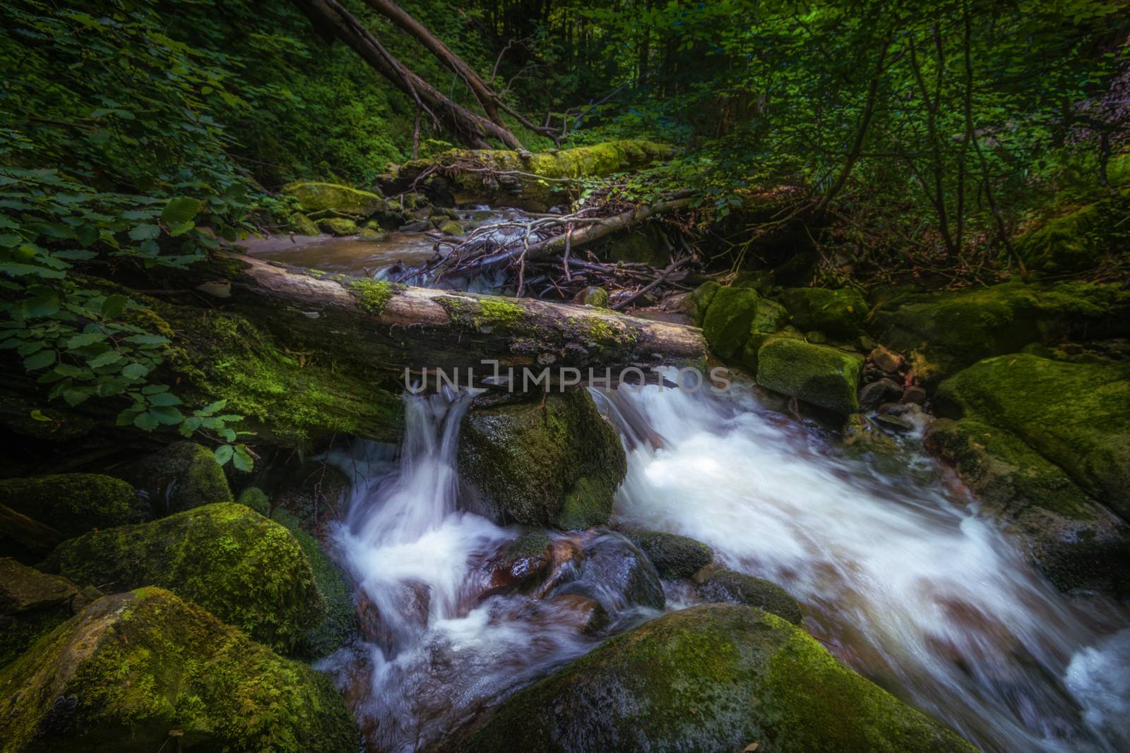 Mountain river - stream flowing through thick green forest. Stream in dense wood. Big boulders in river bed with fallen tree trunks covered in moss, rainforest in Europe, Bistriski Vintgar, Slovenia