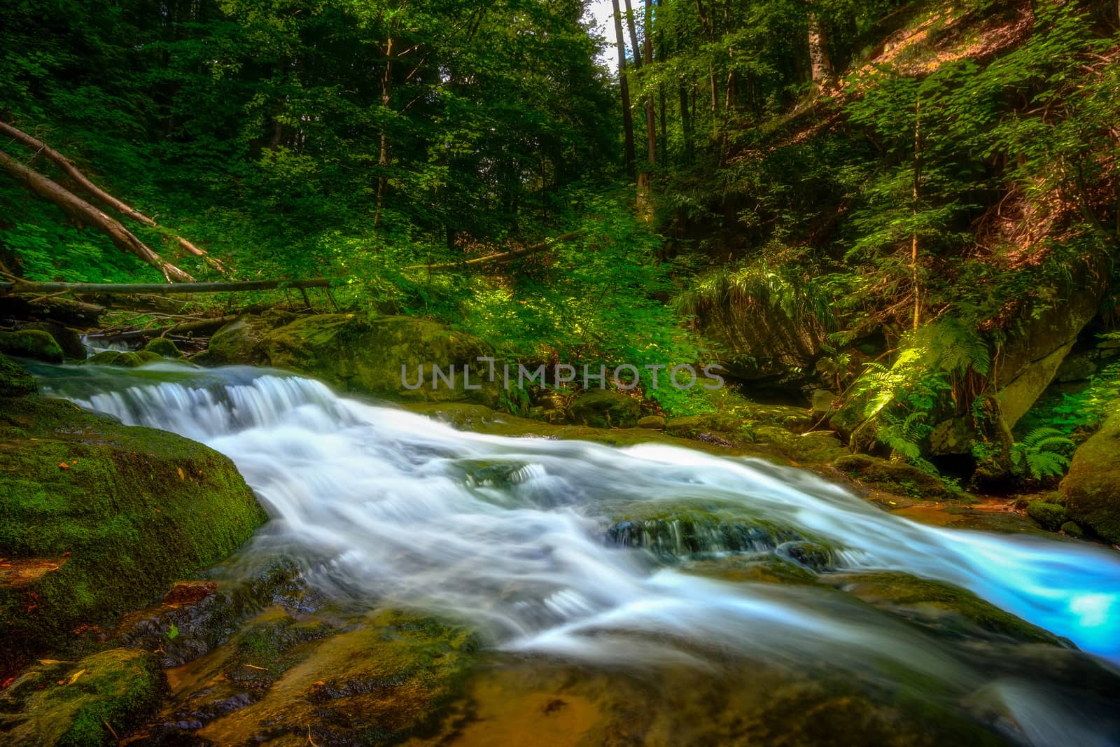 Mountain river - stream flowing through thick green forest. Stream in dense wood. Big boulders in river bed with fallen tree trunks covered in moss, rainforest in Europe, Bistriski Vintgar, Slovenia