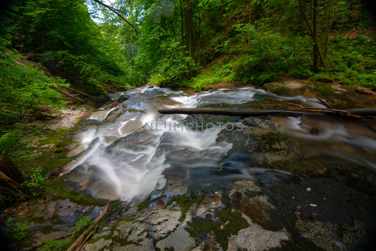 Mountain river - stream flowing through thick green forest, Bistriski Vintgar, Slovenia by asafaric