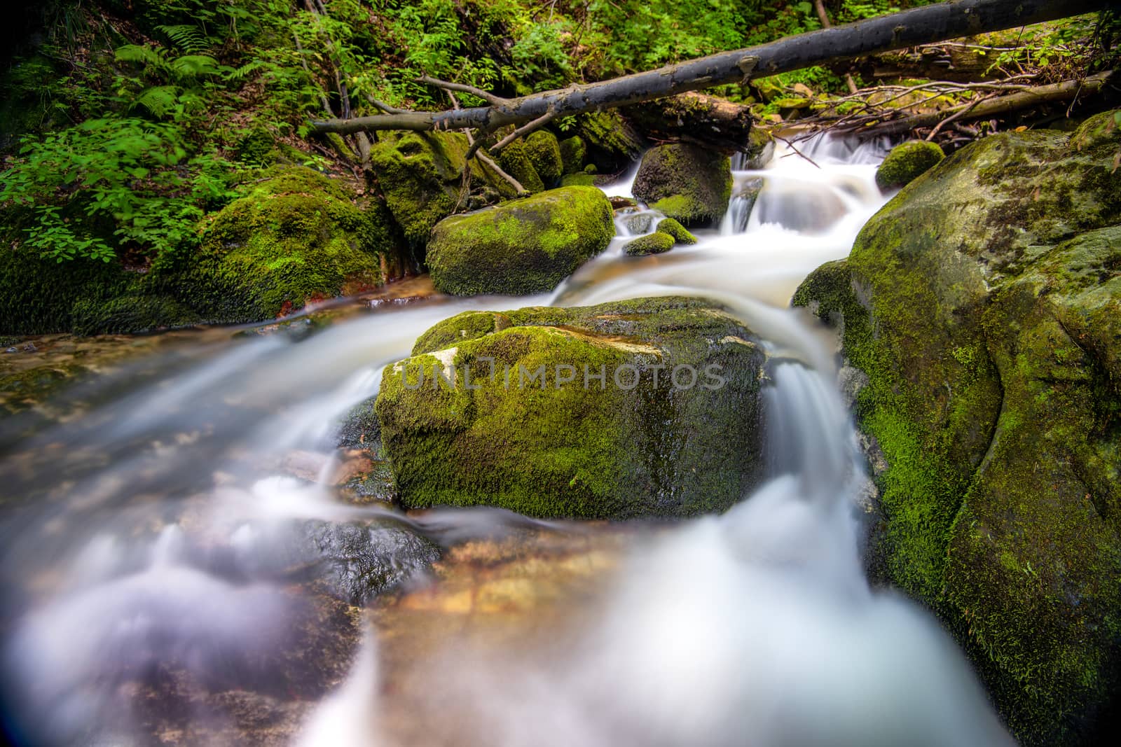 Mountain river - stream flowing through thick green forest. Stream in dense wood. Big boulders in river bed with fallen tree trunks covered in moss, rainforest in Europe, Bistriski Vintgar, Slovenia