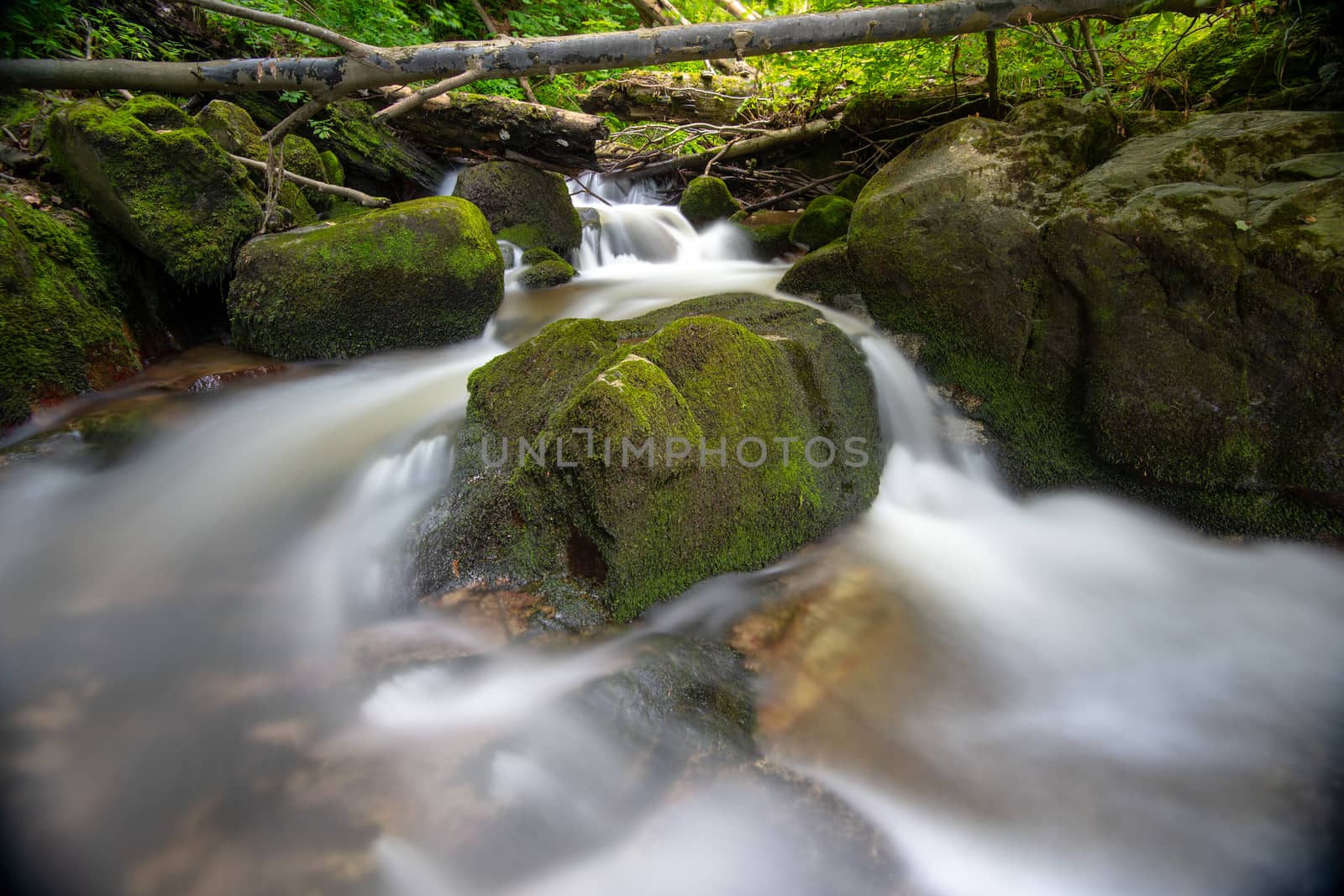 Mountain river - stream flowing through thick green forest, Bistriski Vintgar, Slovenia by asafaric