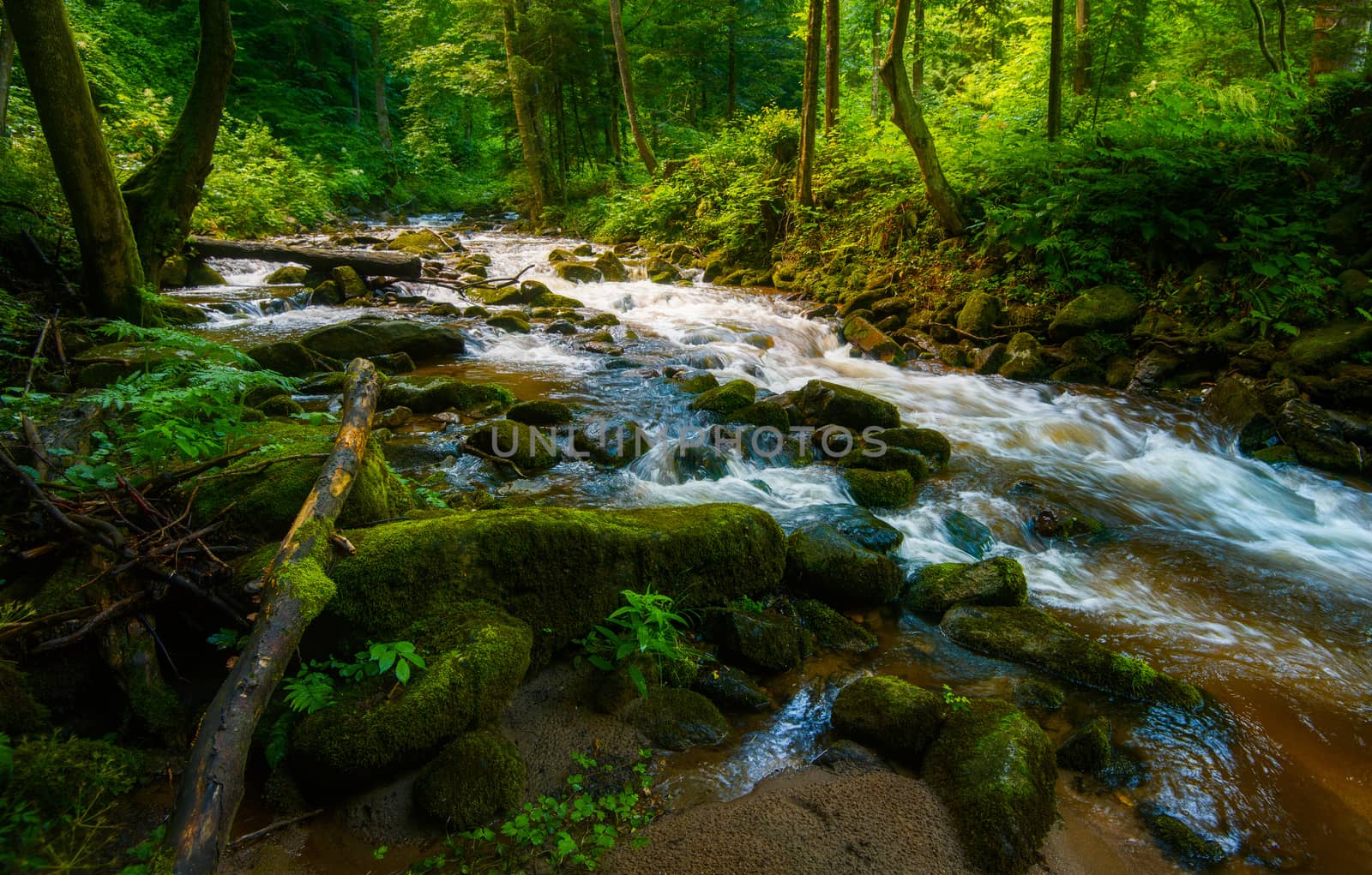 Mountain river - stream flowing through thick green forest, Bistriski Vintgar, Slovenia by asafaric