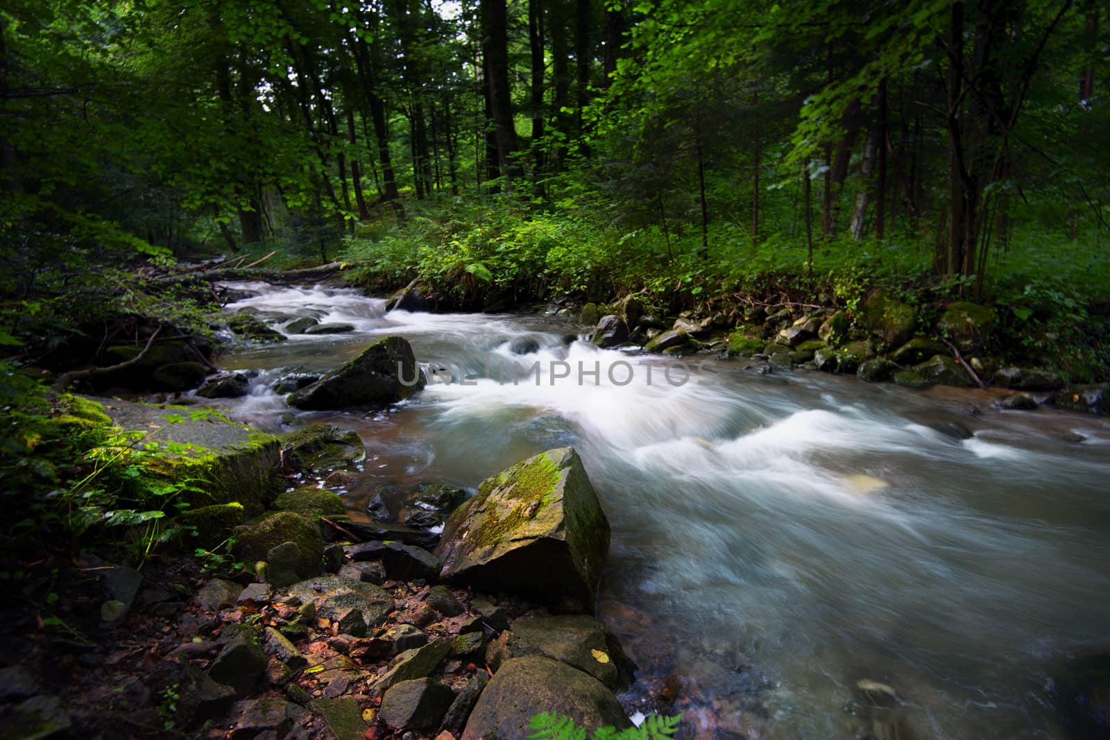 Mountain river - stream flowing through thick green forest. Stream in dense wood. Big boulders in river bed with fallen tree trunks covered in moss, rainforest in Europe, Bistriski Vintgar, Slovenia