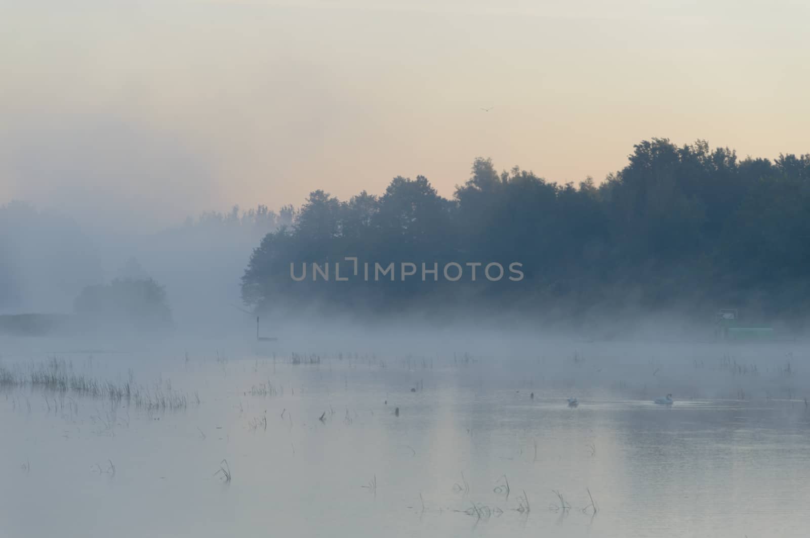 landscape with natural river, nature series