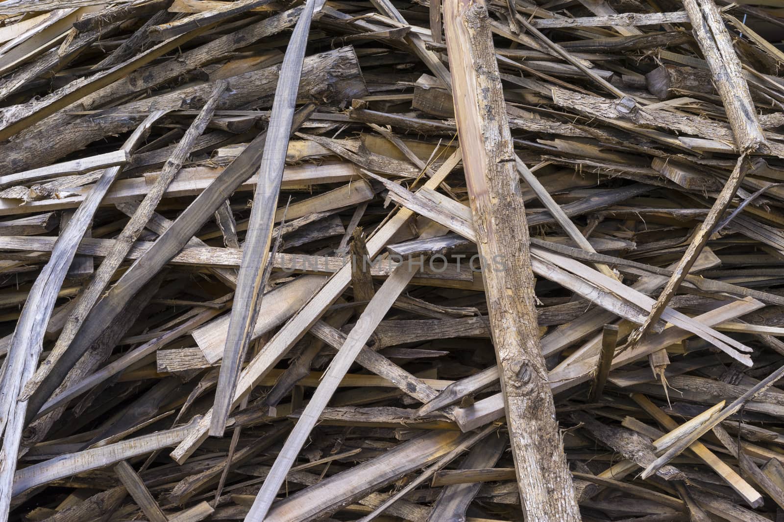 picture of chips and other debris from a broken tree trunk. Small depth of field Chipped fire woods.