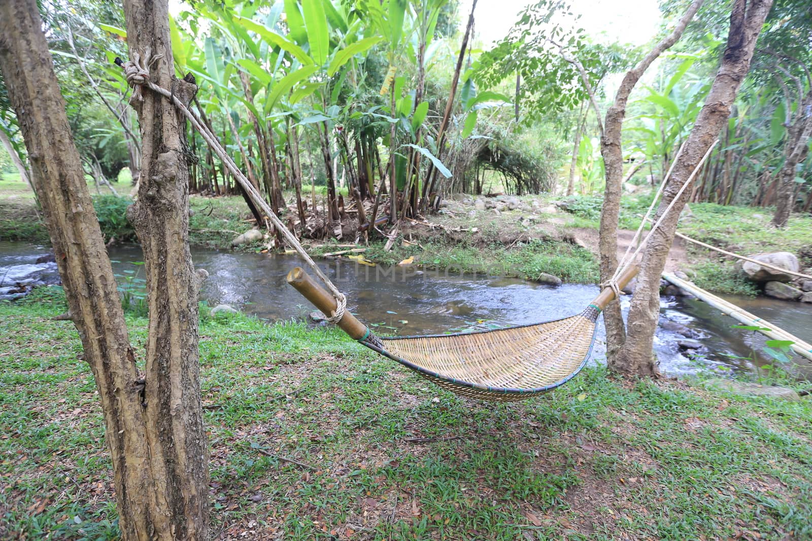 Relax Bamboo stretcher in nature by sakchaineung