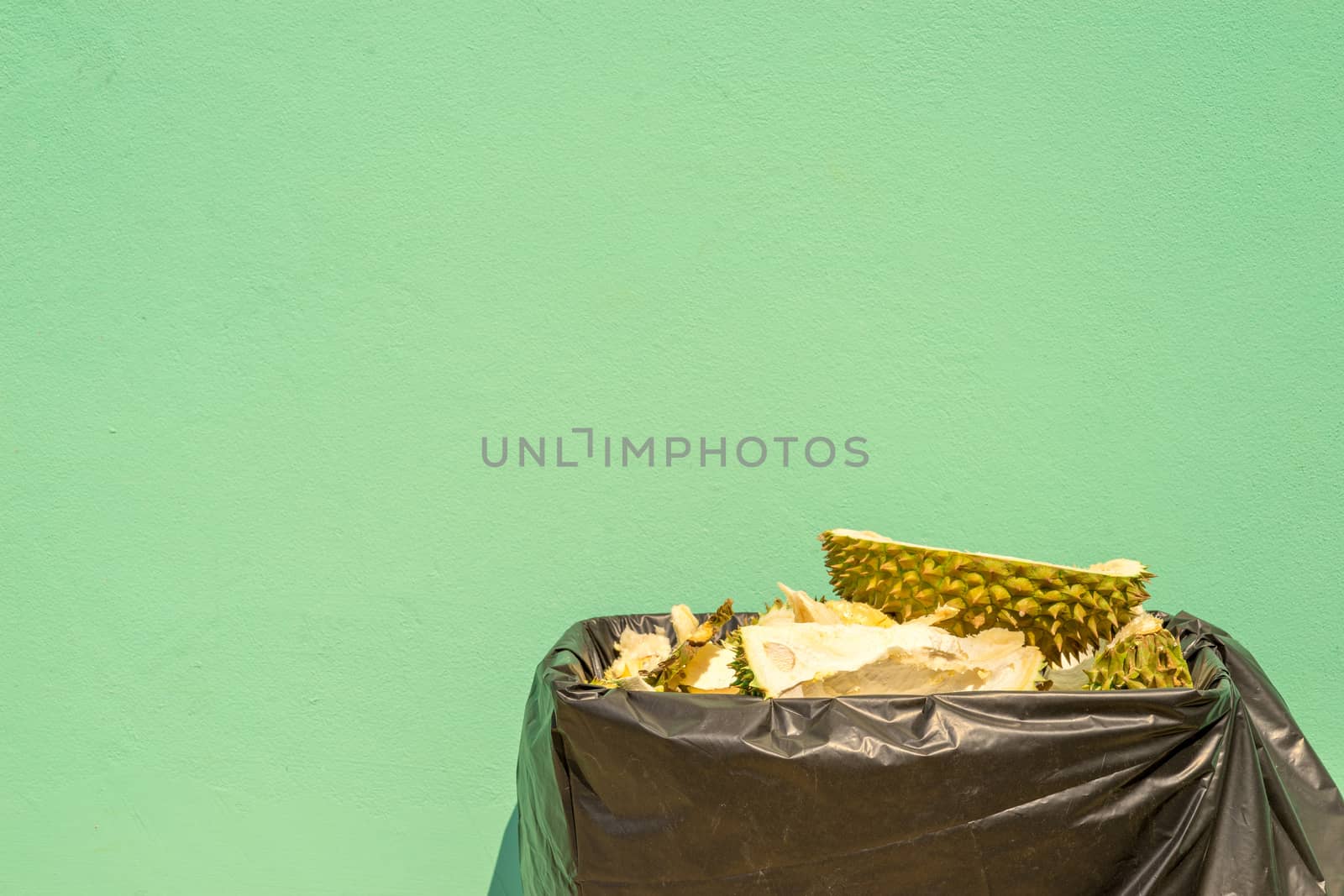 Discard durian peel in trash. Pastel green background by sakchaineung