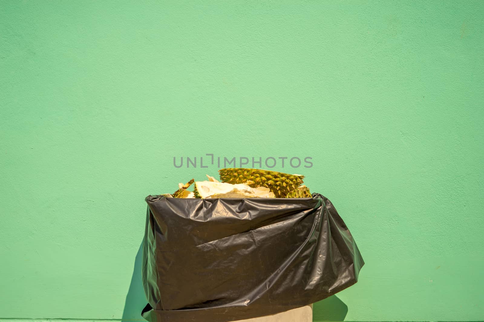 Discard durian peel in trash. Pastel green background by sakchaineung