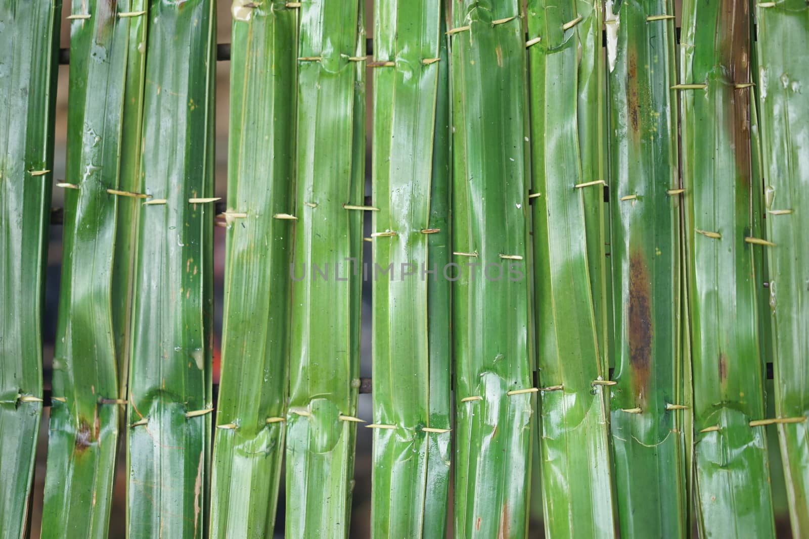 sticky rice with coconut in palm leaf. Traditional Thai desserts by sakchaineung