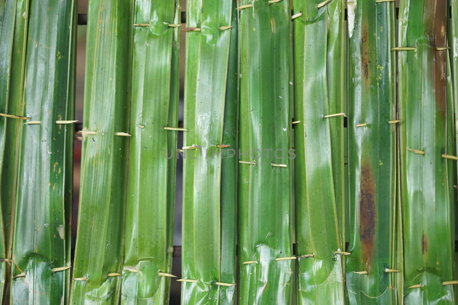 sticky rice with coconut in palm leaf. Traditional Thai desserts by sakchaineung