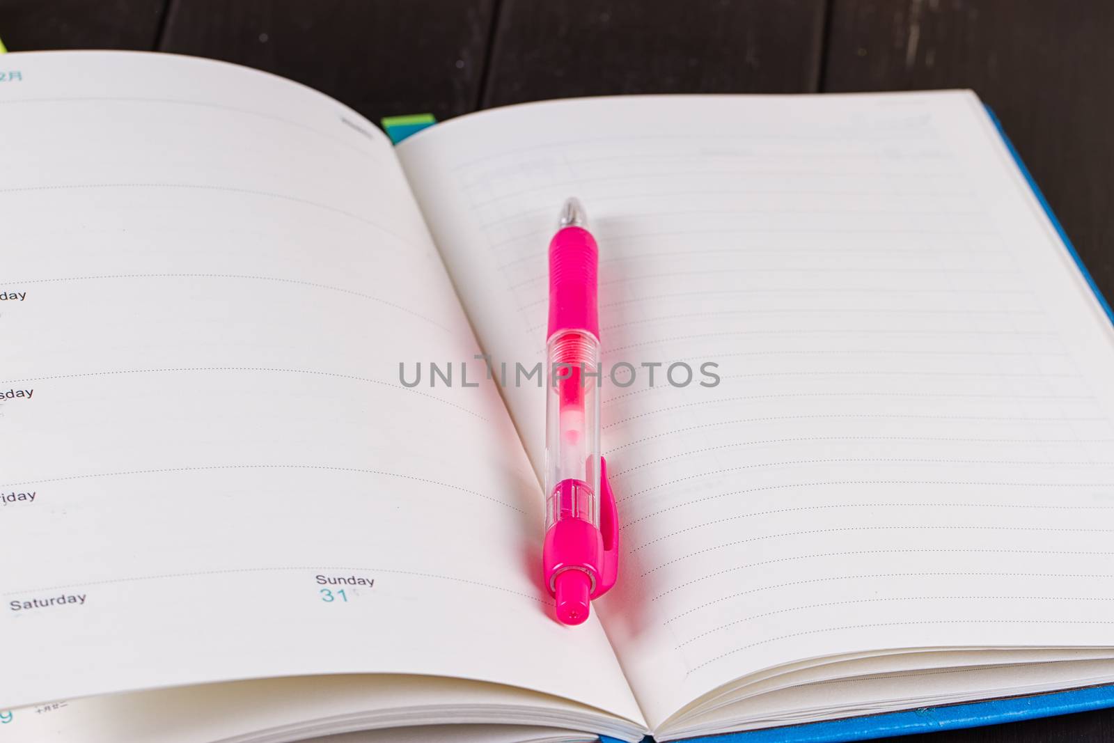 Planning your day, A day blank day planner with a blue pen