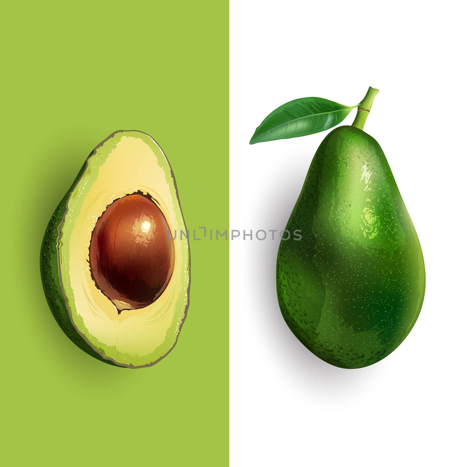 Avocado and slices on a white and green background.