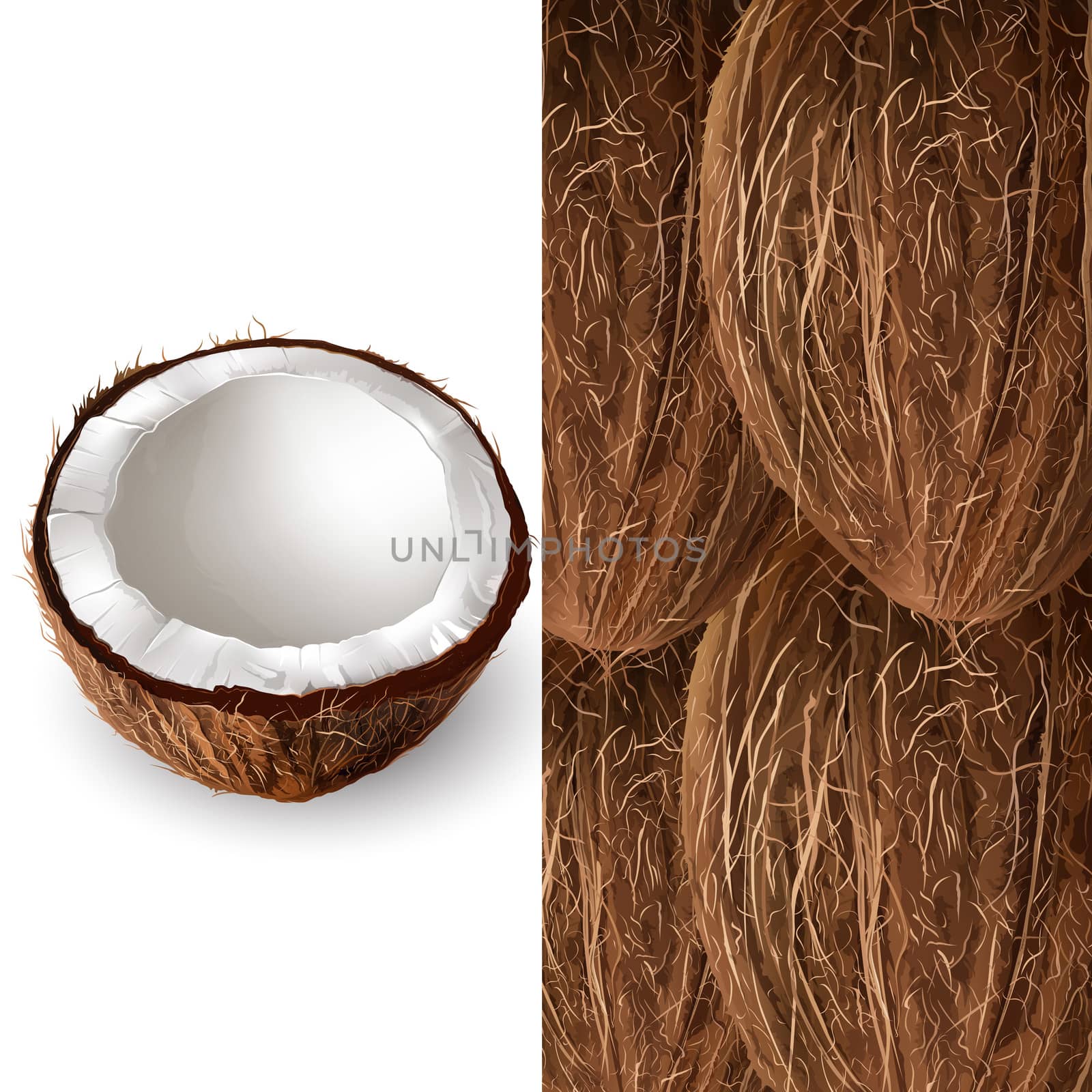 Coconut on a brown and white background.