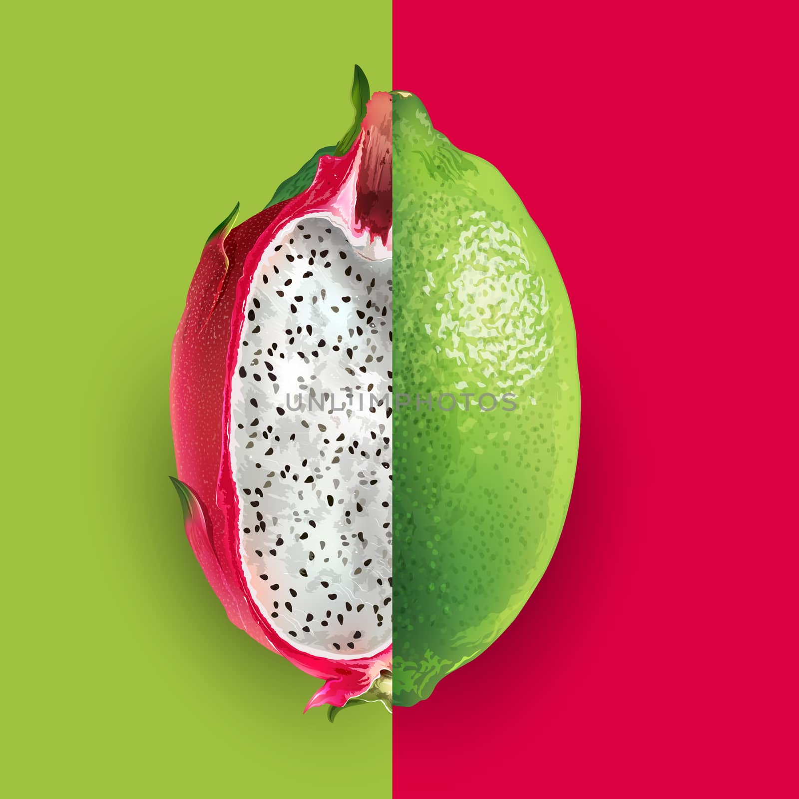 Dragon fruit and lime illustration by ConceptCafe