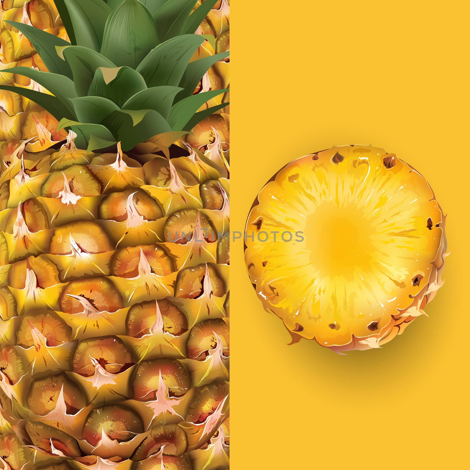 Pineapple on a bright yellow by ConceptCafe