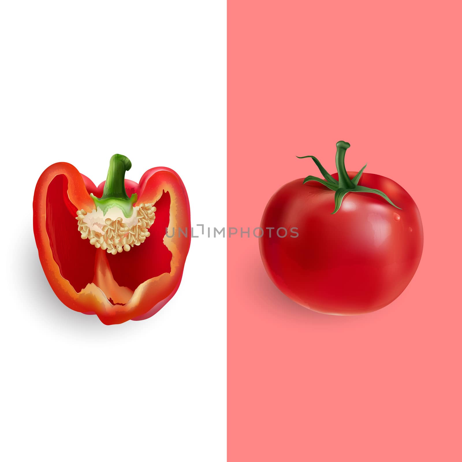 Red pepper and tomato illustration by ConceptCafe