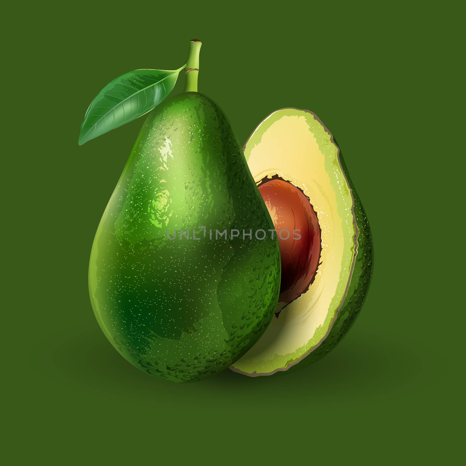 Avocado and slices on a green background.