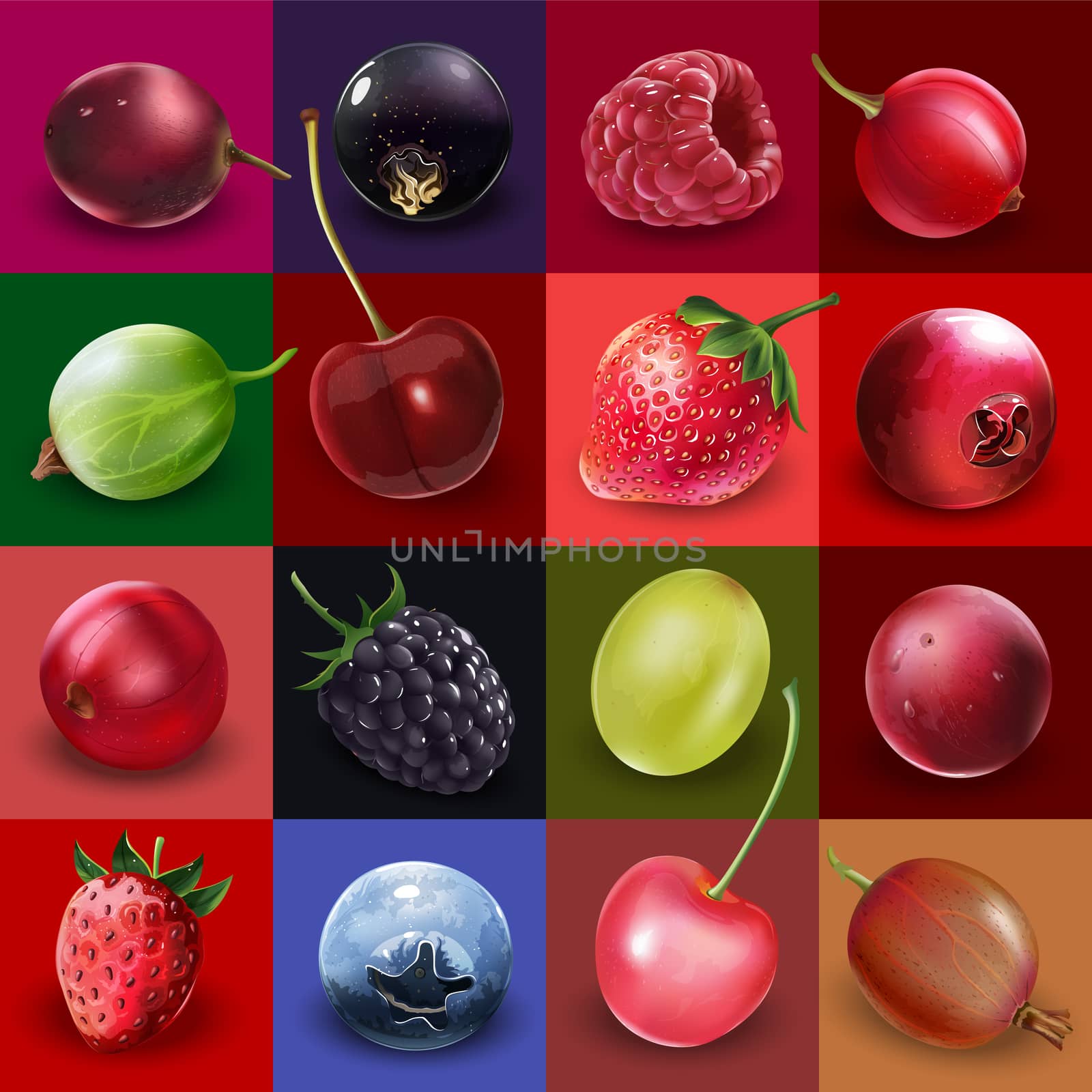 Collection of Berries by ConceptCafe
