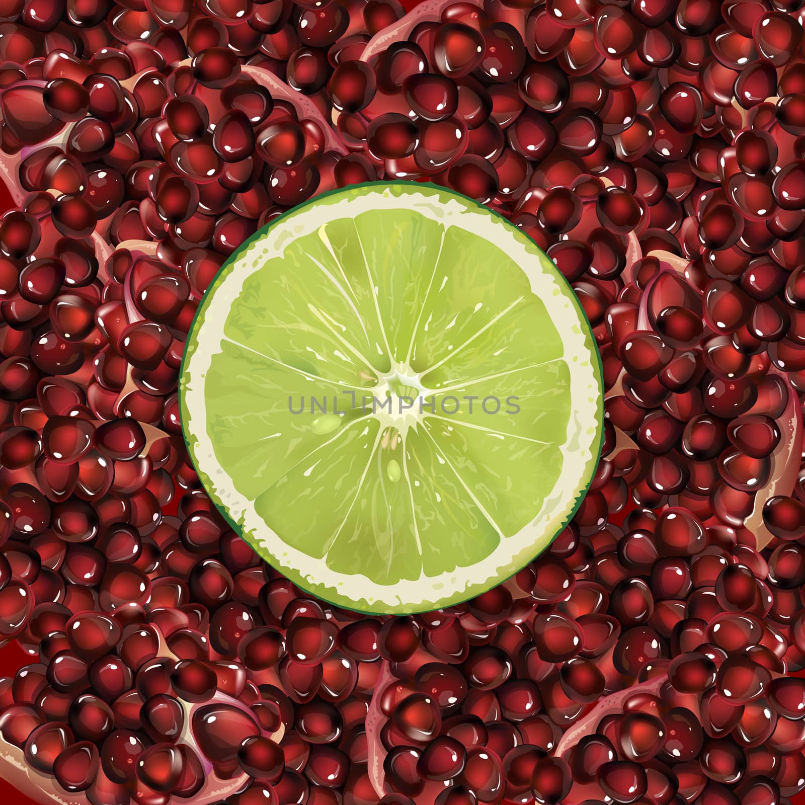 Pomegranate and lime by ConceptCafe