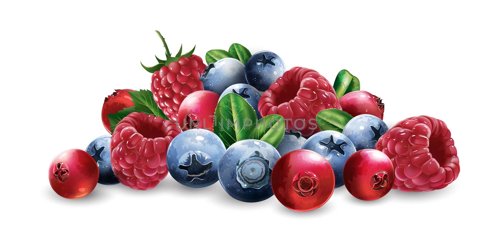 Raspberries, cranberries, blueberries and strawberries on a white background.