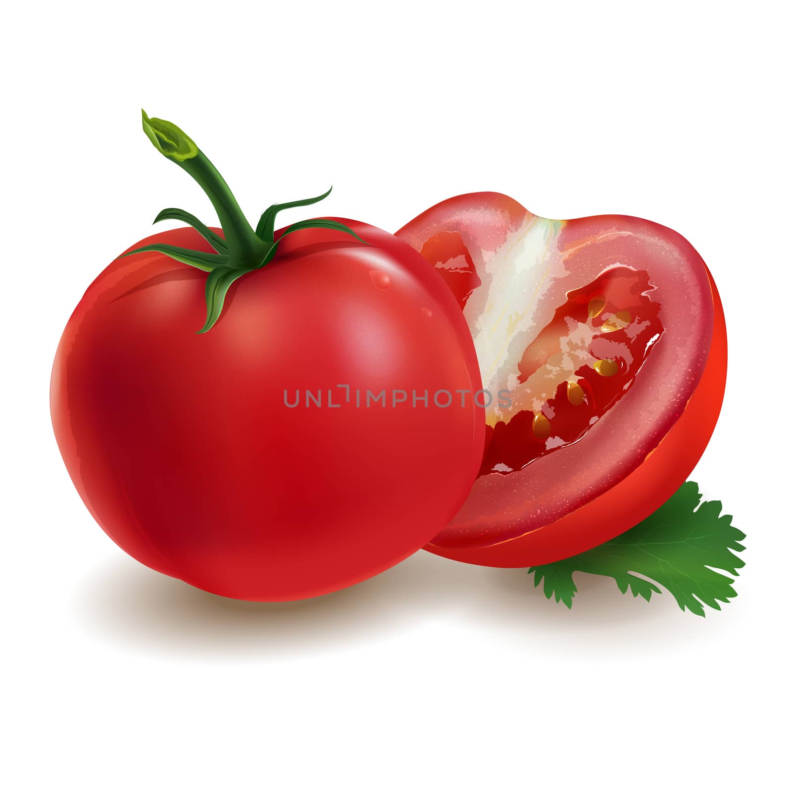Realistic fresh tomatoes on a white background.