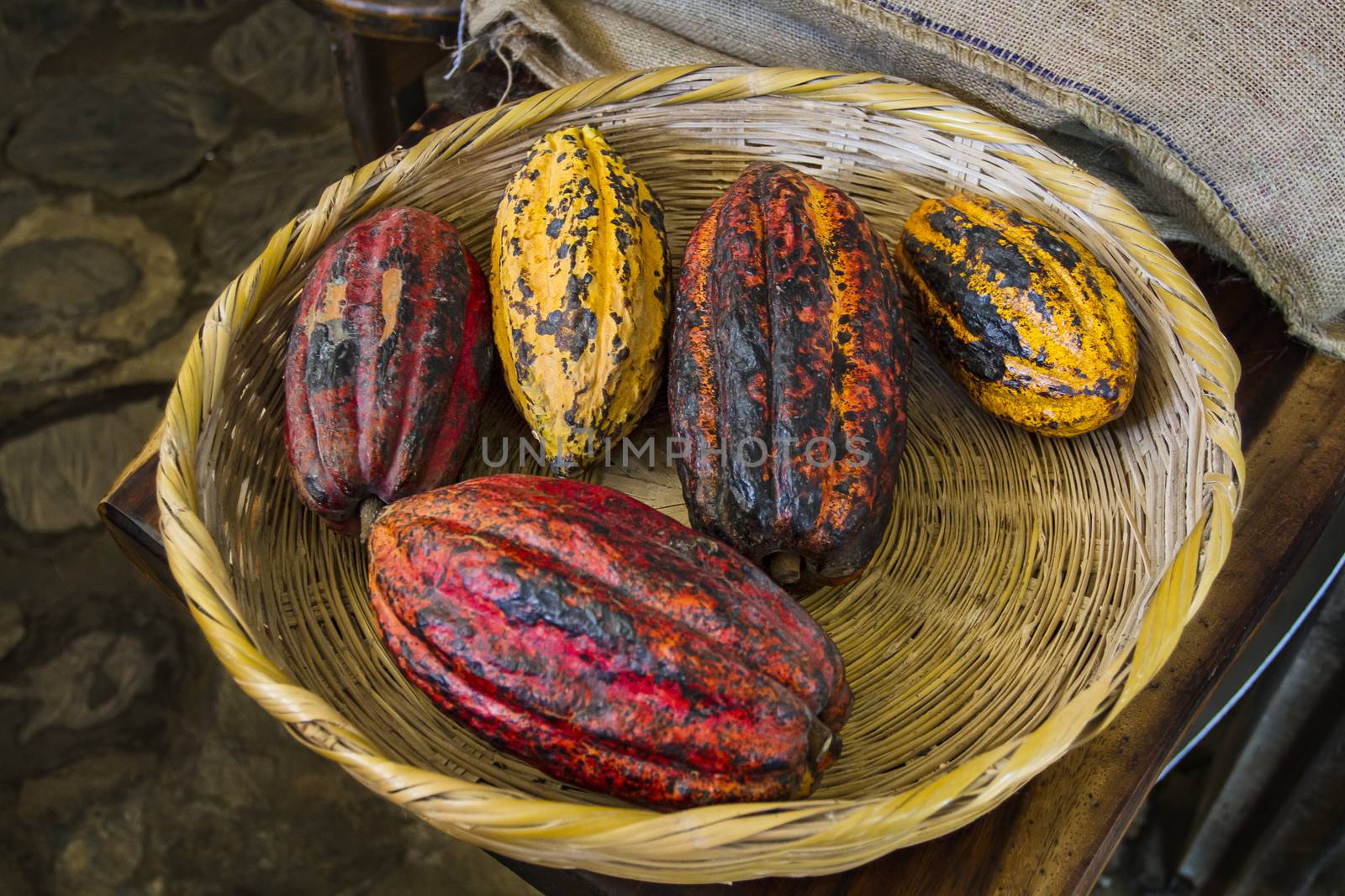 red, yellow and orange cocoa bean in a basket