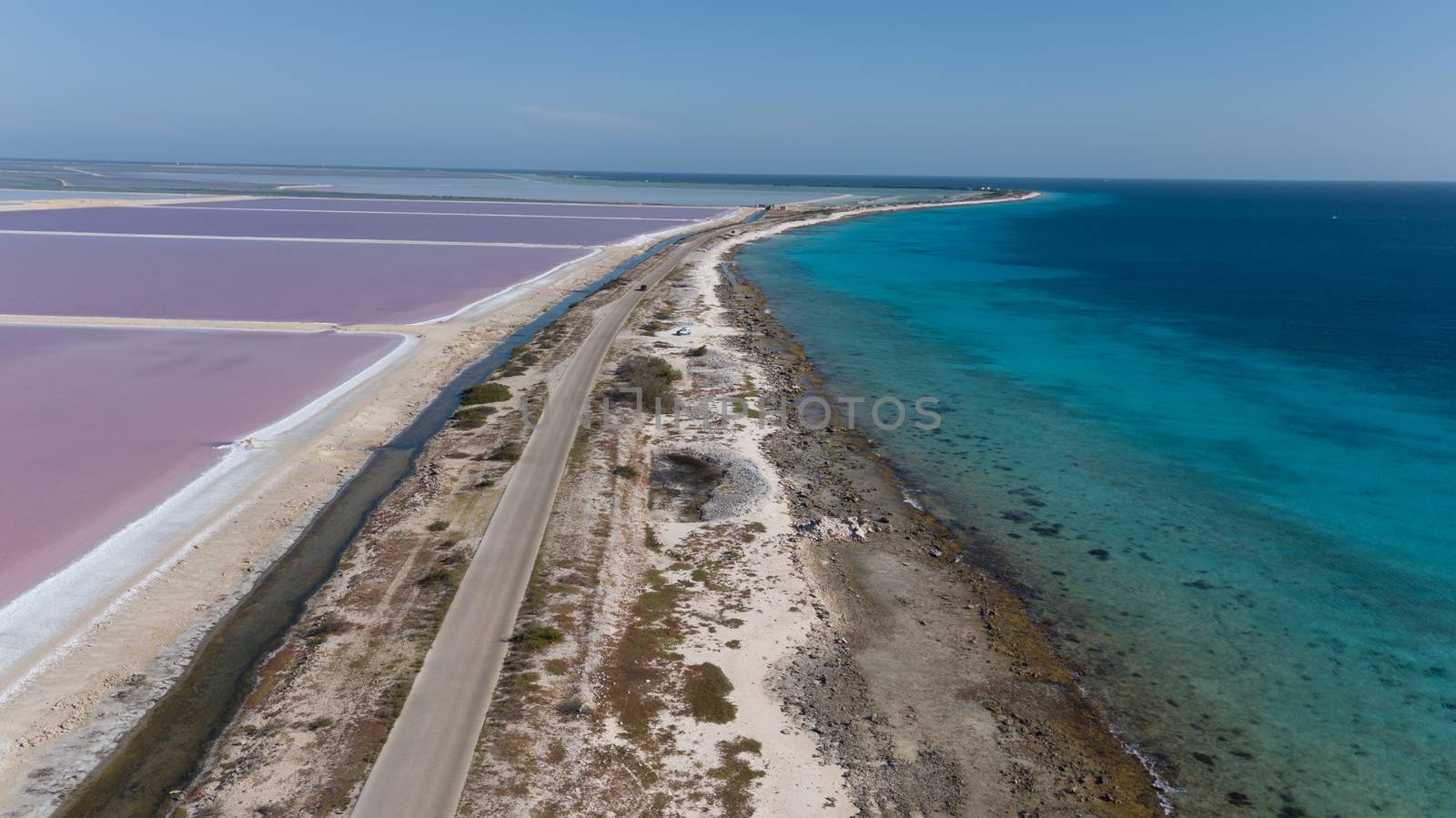 rose caribbean salt lake Bonaire island aerial drone top view by desant7474