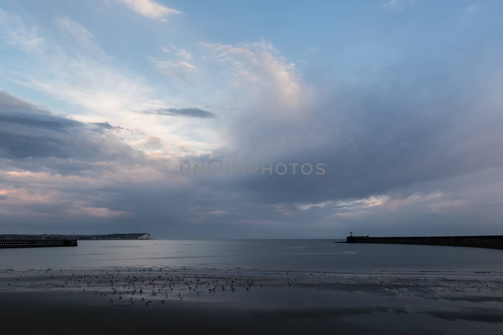 Seaford Head and Newhaven Lighthouse on July evening, with birds on beach at low tide and heavy clouds in blue sky.