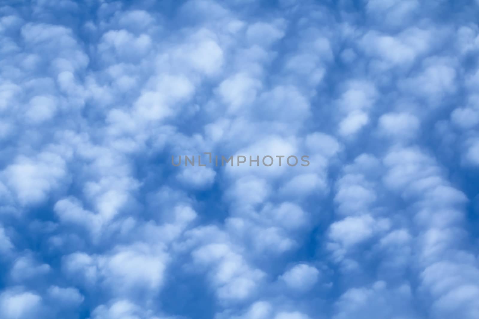 Puffy Cirrocumulus clouds against blue sky, filling frame.