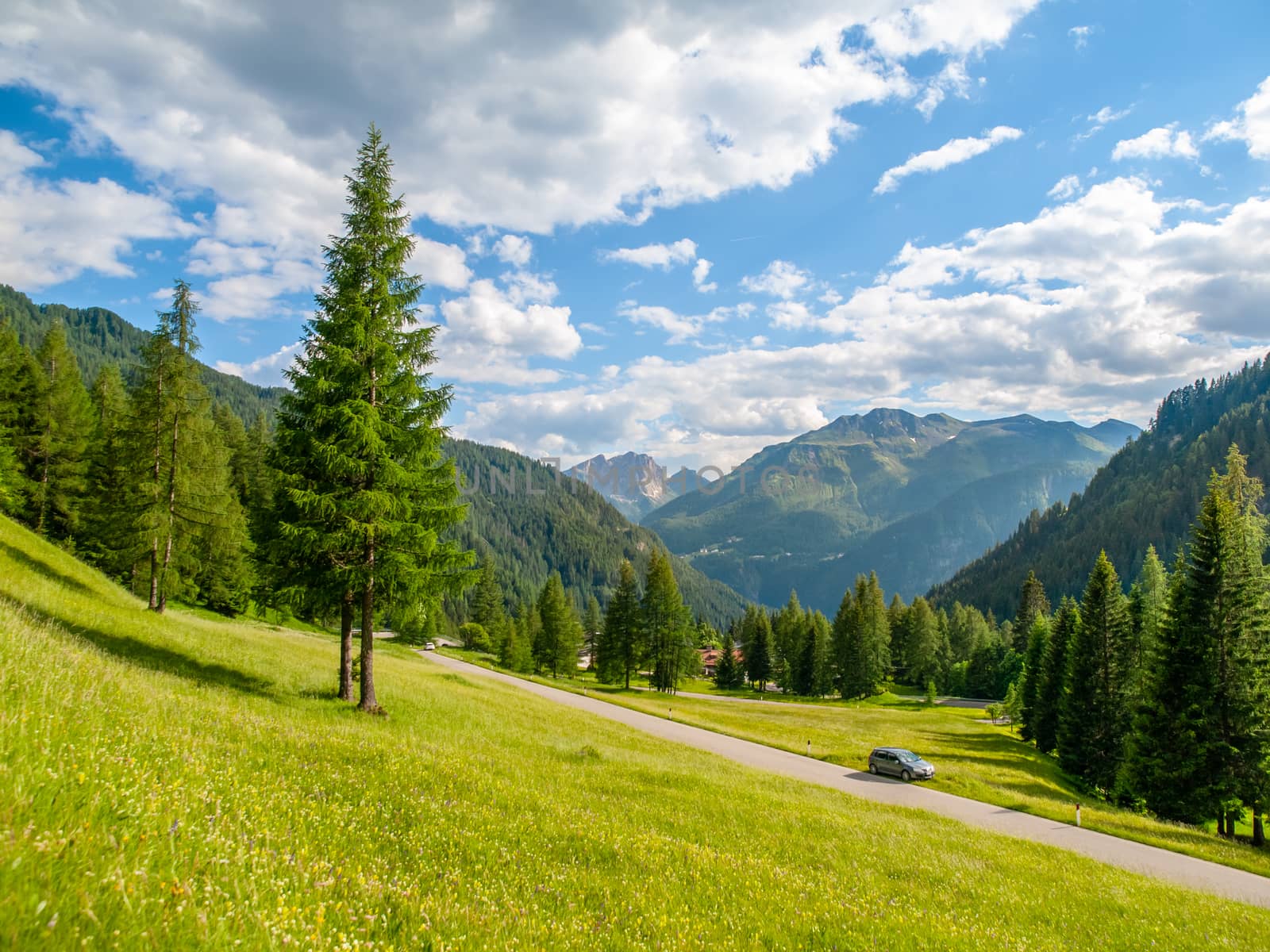 Landscape of Dolomites with green meadows, coniferous trees, blue sky, white clouds and rocky mountains.