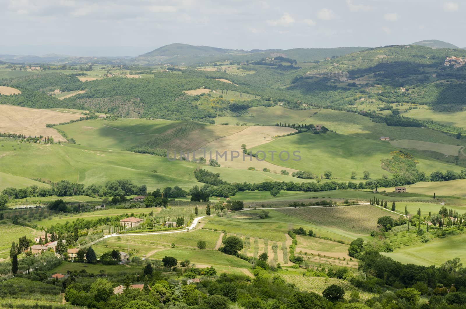 Scenic view of typical Tuscany landscape in Val D'Orcia: hills, meadows and green fields. Tuscany, Italy, Europe