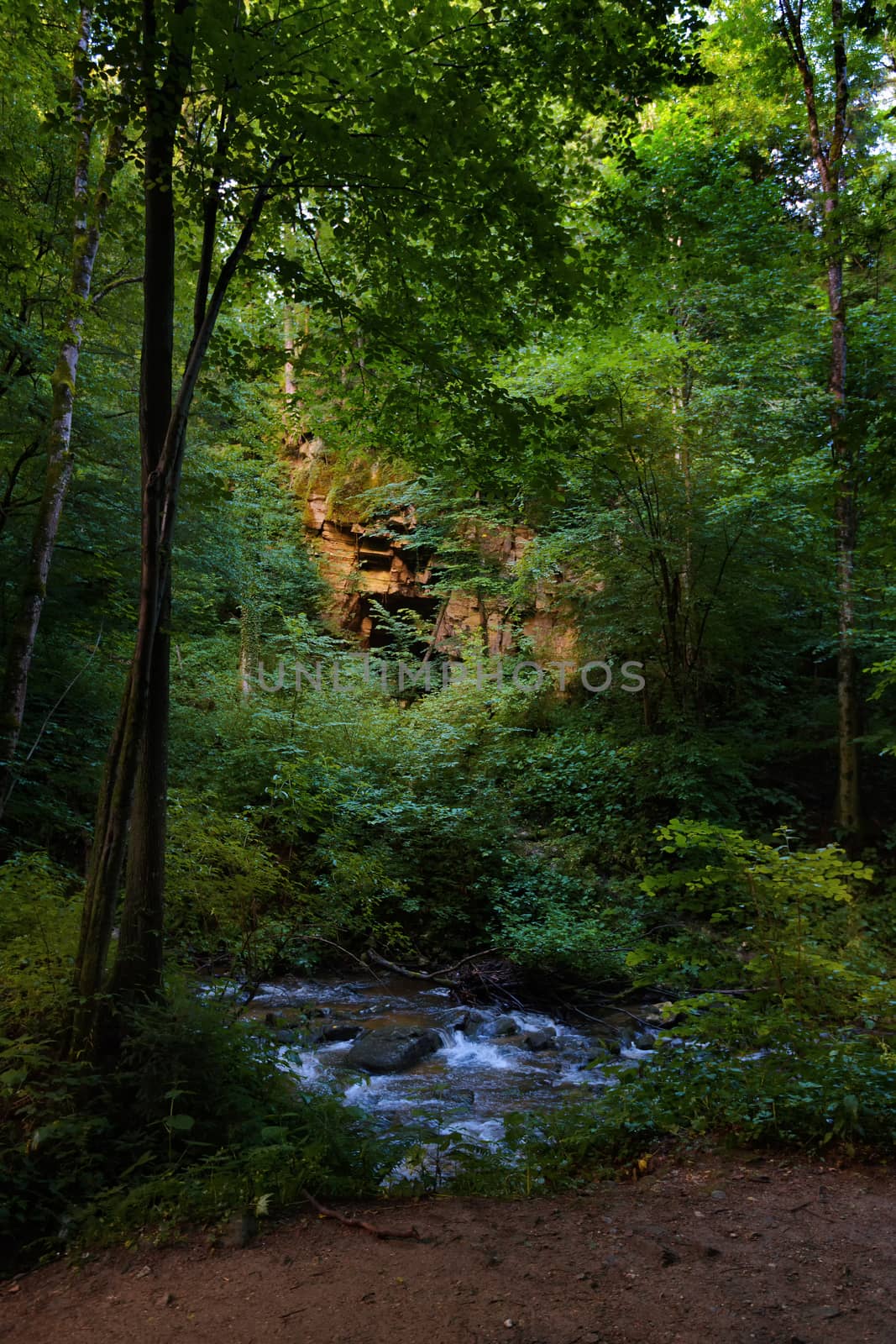 Ancient Roman Quarry next to a Mountain river - stream flowing through thick green forest, Bistriski Vintgar, Slovenia. Stream in dense wood.