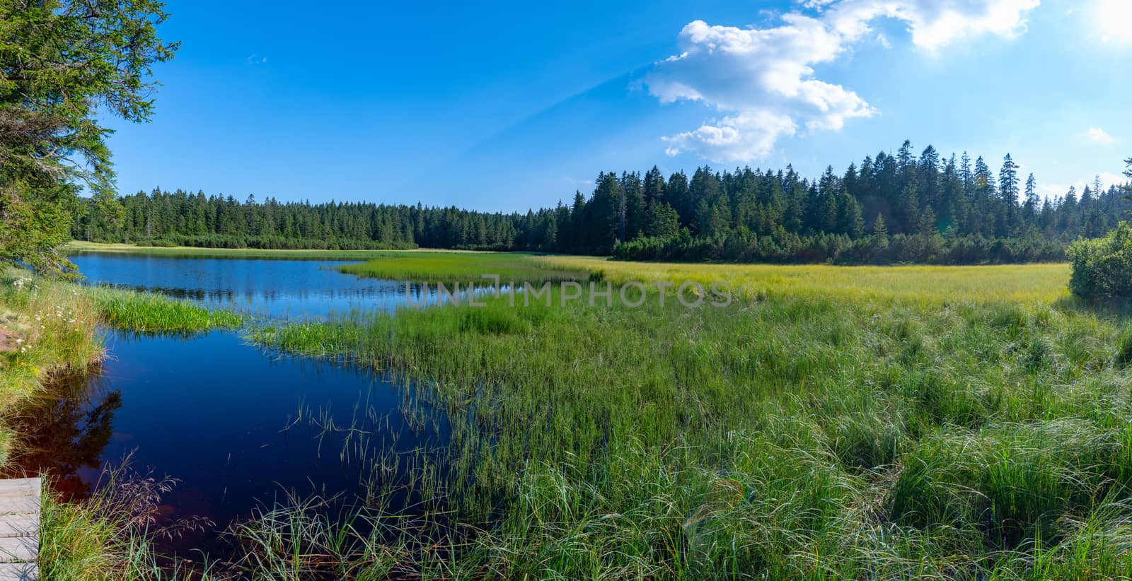 Lake on top of mountain, dark colored water and vibrant green grass, surrounded with trees, Crno jezero or Black lake is a popular hiking destination on Pohorje, Slovenia