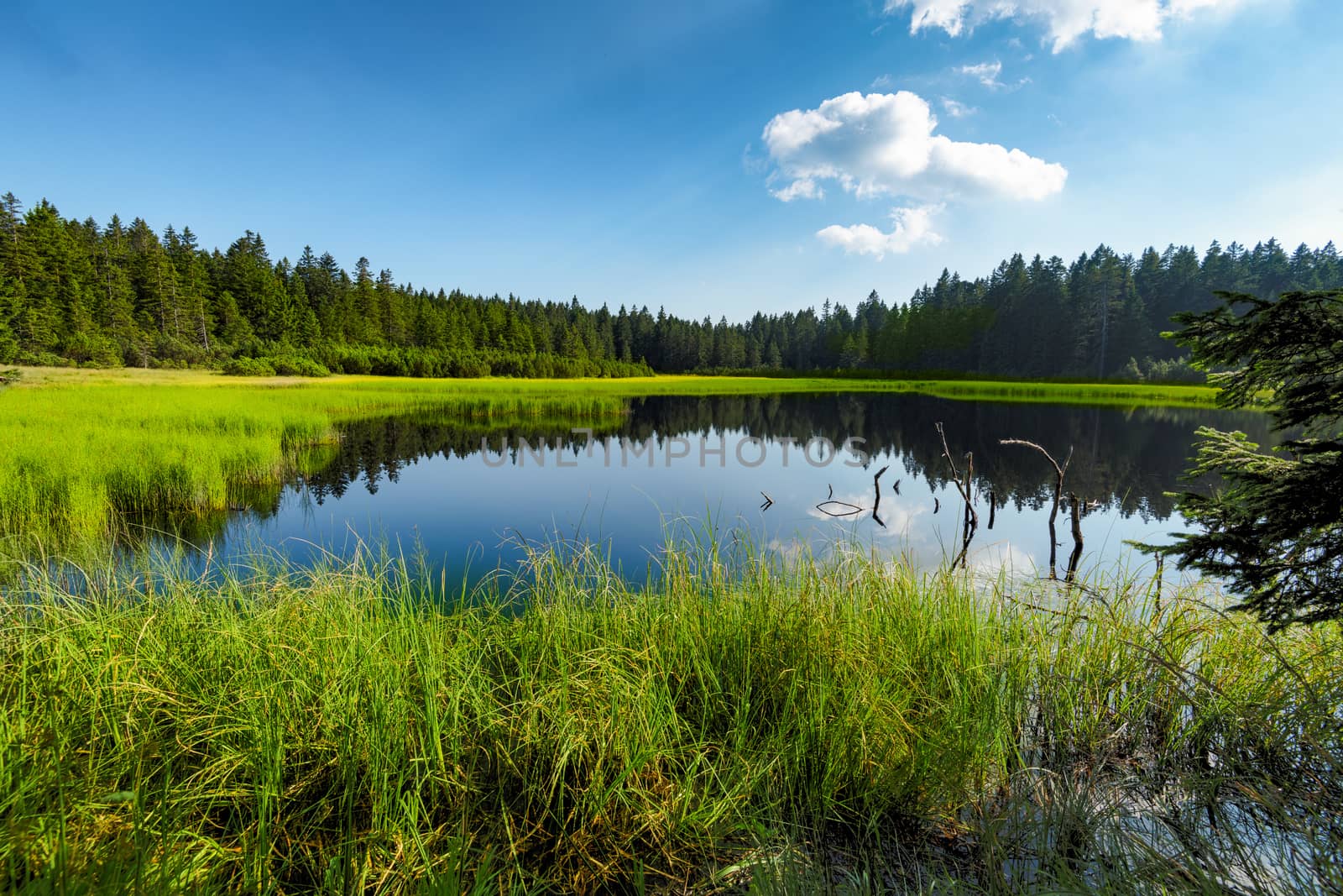 Lake on top of mountain, dark colored water and vibrant green grass, surrounded with trees, Crno jezero or Black lake is a popular hiking destination on Pohorje, reflection of sky in water