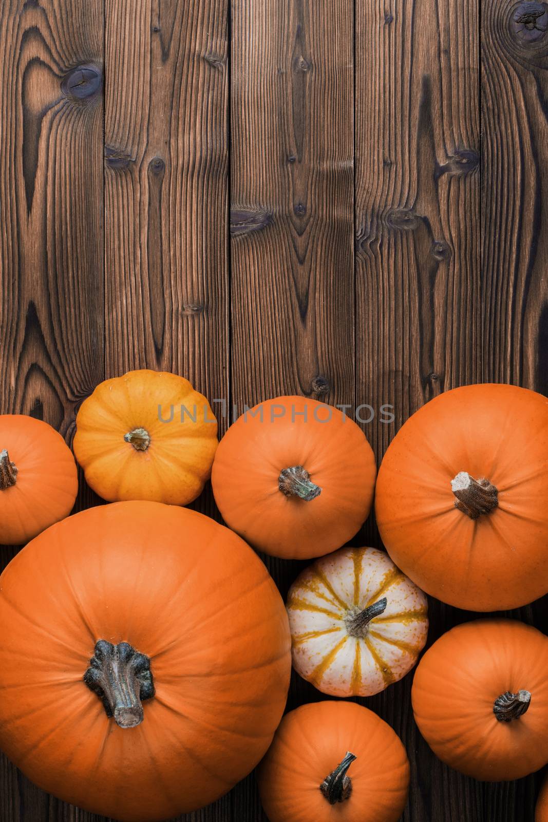 Many orange pumpkins on wooden background with copy space, autumn harvest, Halloween or Thanksgiving concept