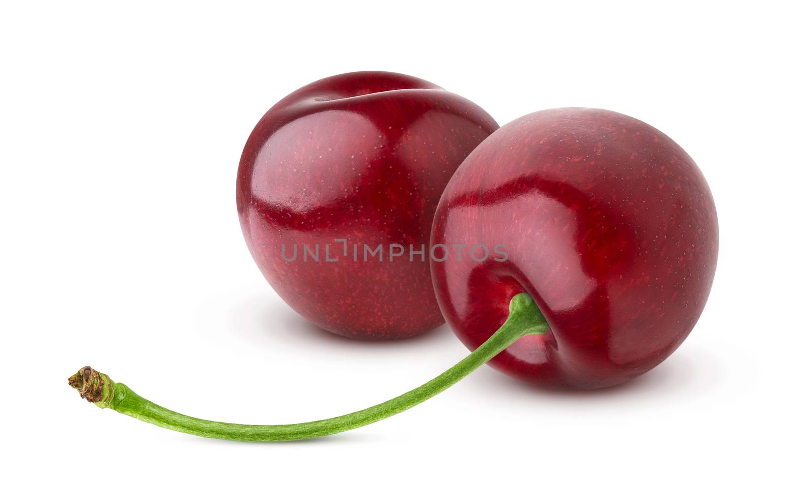 Two fresh cherries isolated on white background by xamtiw